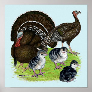 Truthahn Standard Bronze Familie Poster