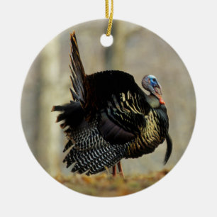 Truthahn stolziert, Illinois Keramikornament