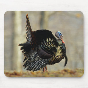 Truthahn stolziert, Illinois Mousepad