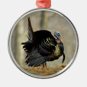 Truthahn stolziert, Illinois Silbernes Ornament