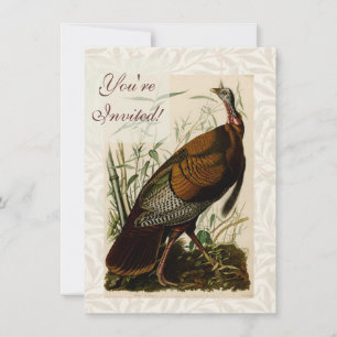 Truthahn-Wild-Audubon-Vogelmalerei Einladung