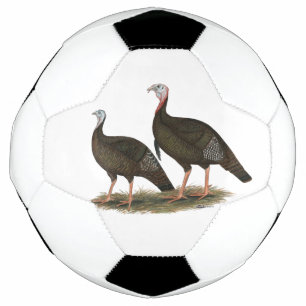 Truthühner Ostpaare Fußball