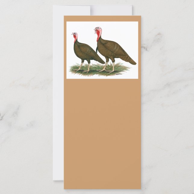 Truthühner: Schokolade (Vorderseite)