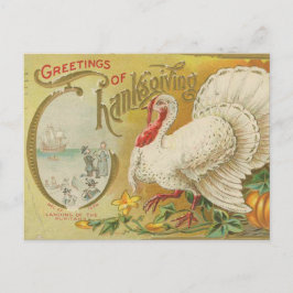 Truthühner Vintager Erntedank Postkarte