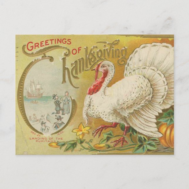 Truthühner Vintager Erntedank Postkarte (Vorderseite)
