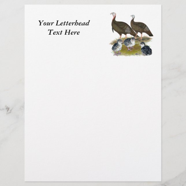 Truthühnerfamilie Eastern Wild (Vorderseite)