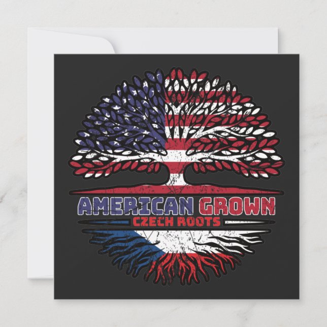 Tschechische Republik USA USA Vereinigte Staaten Karte (Vorderseite)