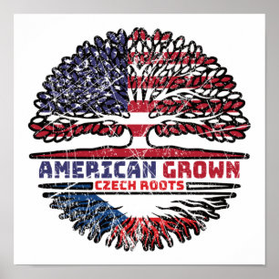 Tschechische Republik USA USA Vereinigte Staaten Poster
