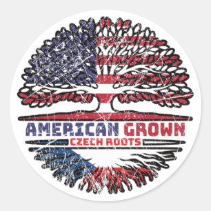 Tschechische Republik USA USA Vereinigte Staaten Runder Aufkleber