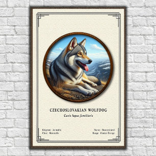 Tschechoslowakischer Wolfhund Zoologie-Serie Poster
