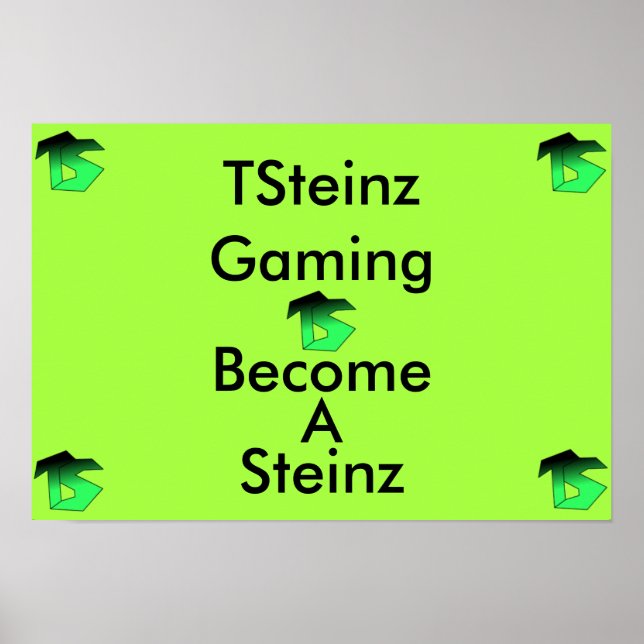 TSteinz Poster (Vorne)