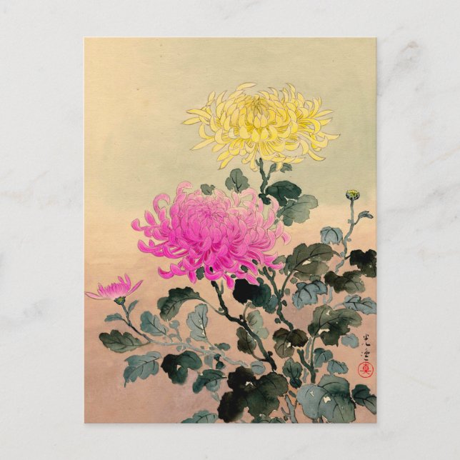 Tsuchiya Koitsu 土 屋 逸 - Chrysanthemum 菊 Postkarte (Vorderseite)