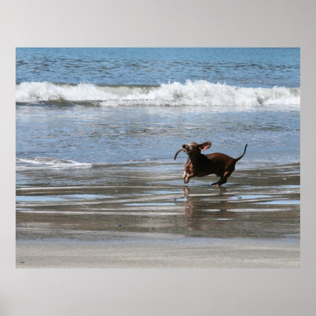 Tsunami Harry Poster (Vorne)