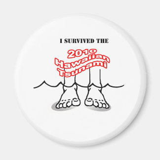 Tsunami in Hawaii 2010 Magnet