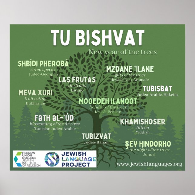 Tu Bishvat - Neujahr der Bäume - in 10 jüdischen Poster (Vorne)