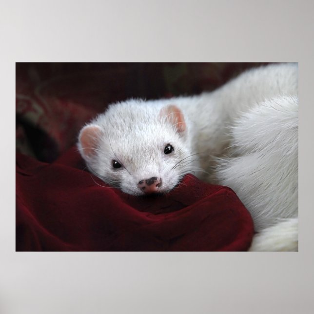 Tu chantais ist ein... poster (Vorne)