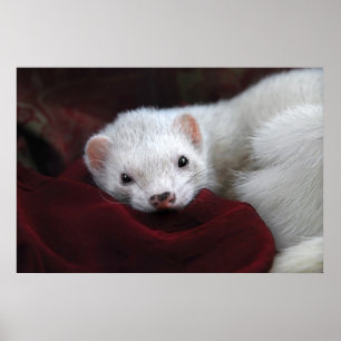 Tu chantais si bien... poster