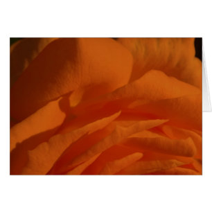 Tú eres MI amor, MI vida