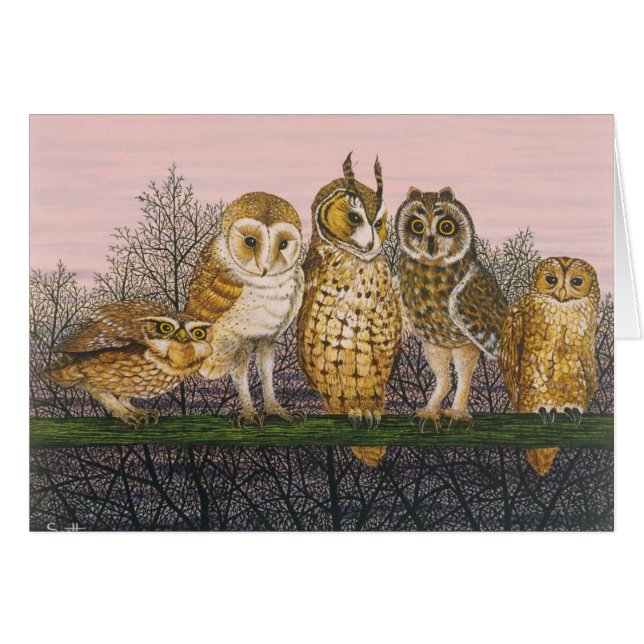 Tu-Whit Tu-whooing (Vorderseite (Horizontal))