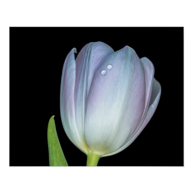 Tu y yo. poster (Vorderseite)