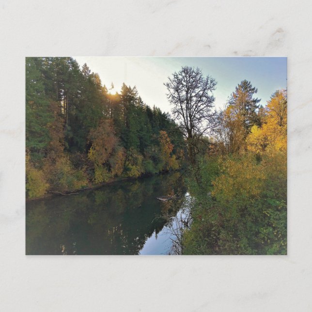 Tualatin-Fluss, Oregon Postkarte (Vorderseite)