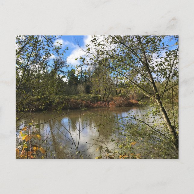 Tualatin-Fluss, Oregon Postkarte (Vorderseite)