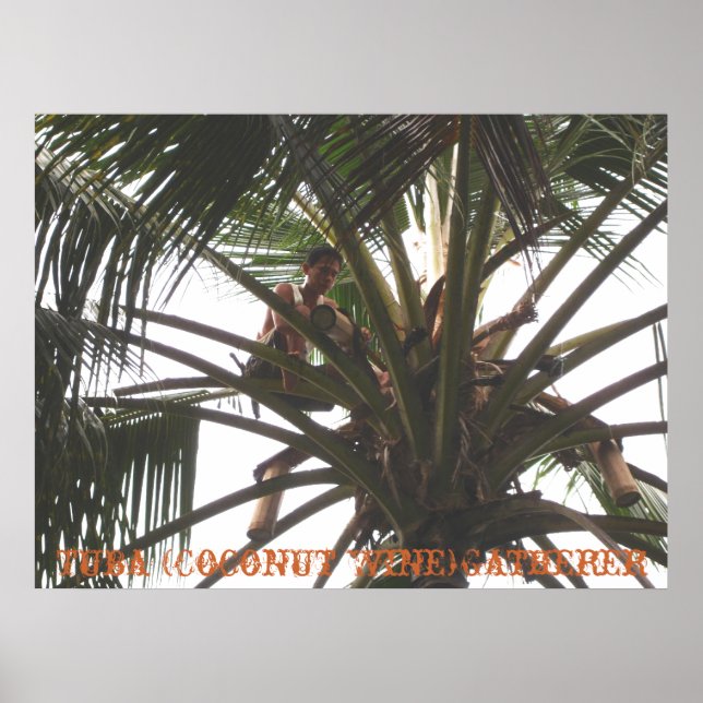 Tuba (Coconut Wine) Gatherer, Tuba (Coconut Win.. Poster (Vorne)