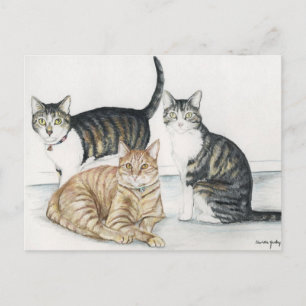 Tubby, Tiger und Tiny Original Art Postcard Postkarte