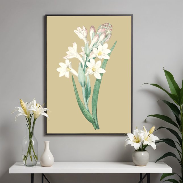Tuberose, Vintage Blume Botanische Illustration Poster (Von Creator hochgeladen)