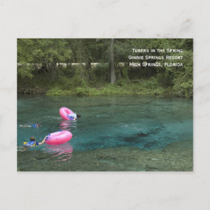 Tubers im Frühjahr Postcard Postkarte