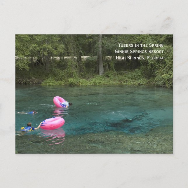 Tubers im Frühjahr Postcard Postkarte (Vorderseite)