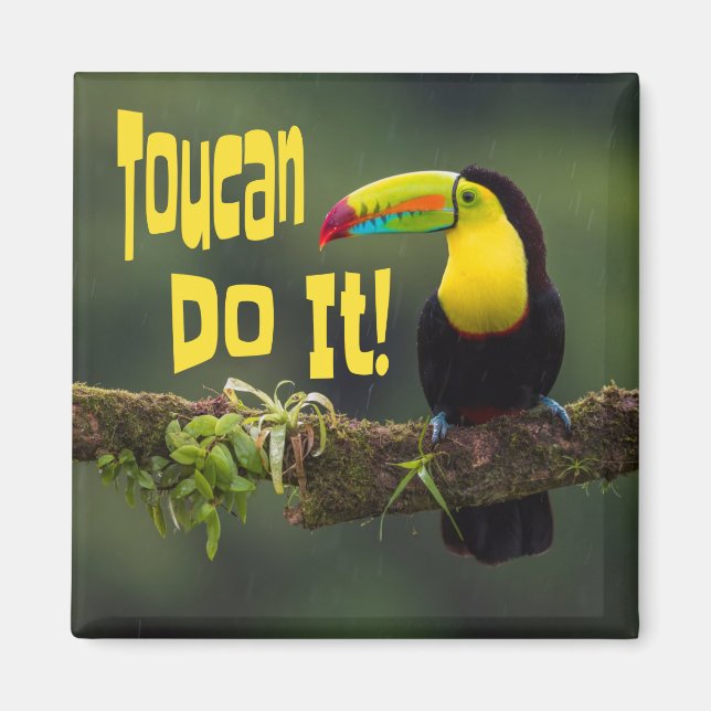 Tucan Do it! Motivierend Vogel-Funny-Pub Magnet (Vorne)