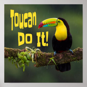 Tucan Do it! Motivierend Vogel-Funny-Pub Poster
