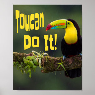 Tucan Do it! Motivierend Vogel-Funny-Pub Poster