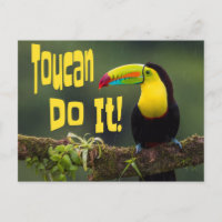 Tucan Do it! Motivierend Vogel-Funny-Pub