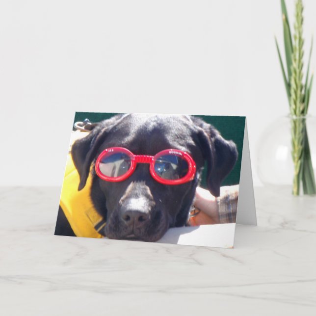 Tucker in Goggles Conservation Hunde Labrador Karte (Vorderseite)
