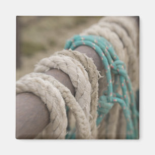 Tucson, Arizona: Ropes und Schwächen, die auf Magnet
