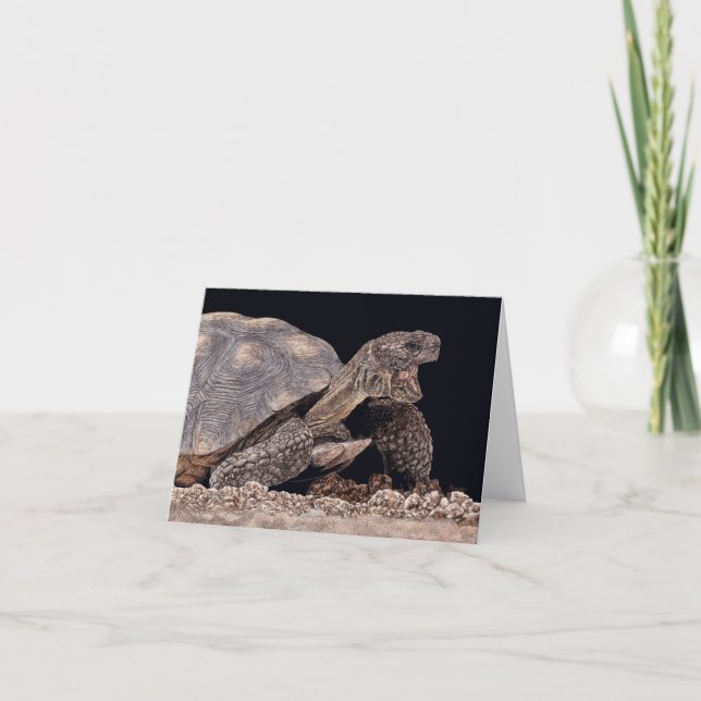"Tucson Yawn" - Wüste Tortoise Card Karte (Vorderseite)