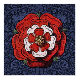Tudor Rose Rot und Weiß Poster