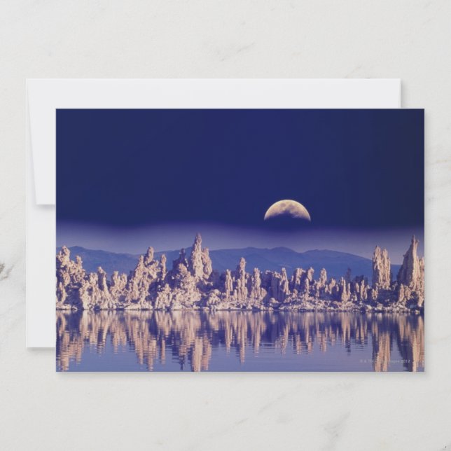 Tufas und Moon (Vorderseite)