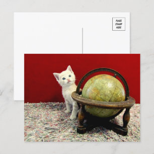 Tuffy McDuff Rund um die Welt - Katze / Kitten Postkarte
