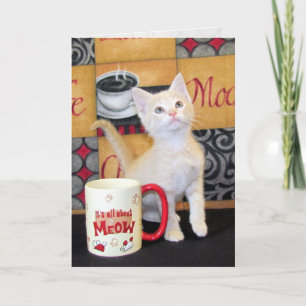 Tuffy McDuffs Mocha Dream Cat Birthday Card Karte