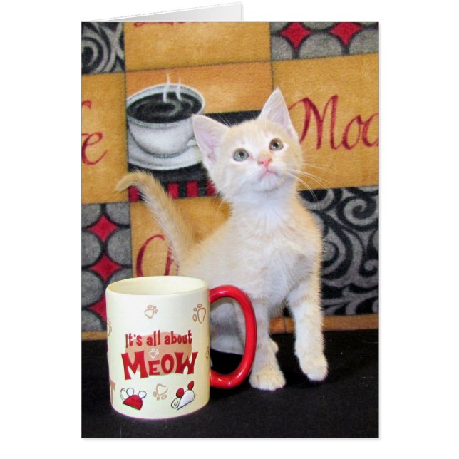 Tuffy McDuffs Mokka-Traum (Vorne)