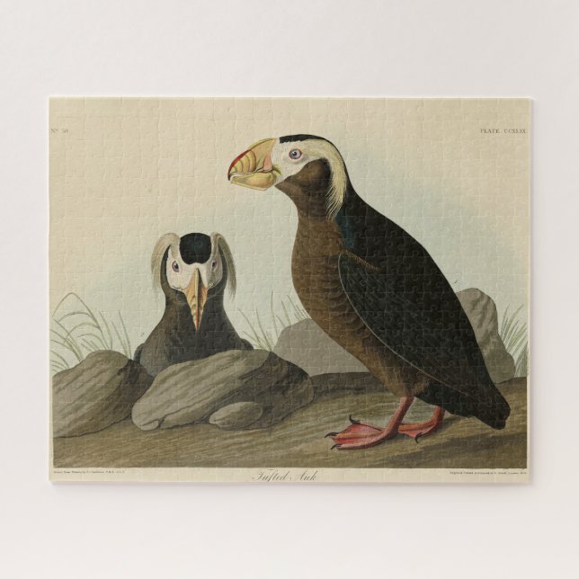 Tufted Auk (Puffin) - Audubons Vögel von Amerika Puzzle (Horizontal)