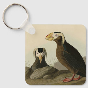 Tufted Auk (Puffin) - Audubons Vögel von Amerika Schlüsselanhänger