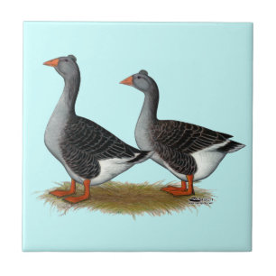 Tufted Toulouse Geese Fliese