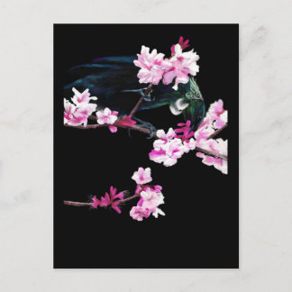 Tui Fütternd auf Kirschblüten Postkarte