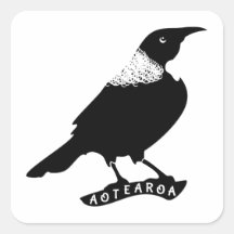 Tui | Neuseeland / Aotearoa