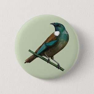 Tui New Zealands Bird Button