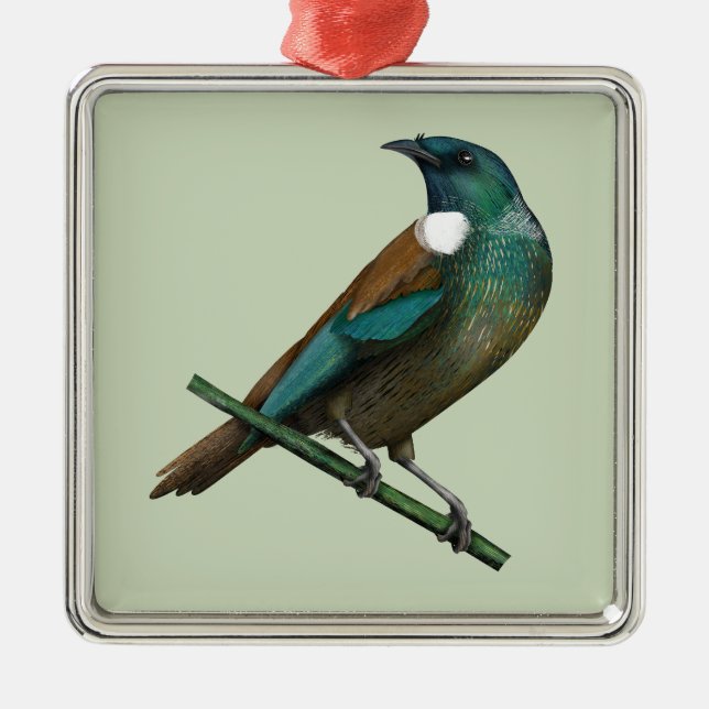 Tui New Zealands Bird Ornament Aus Metall (Vorne)
